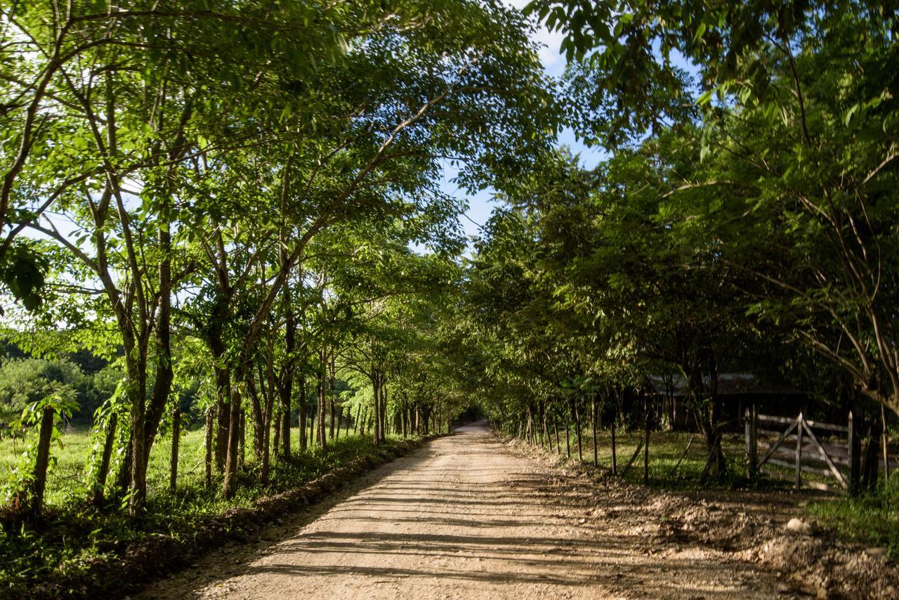 Villas Adriana, Palenque Exterior photo